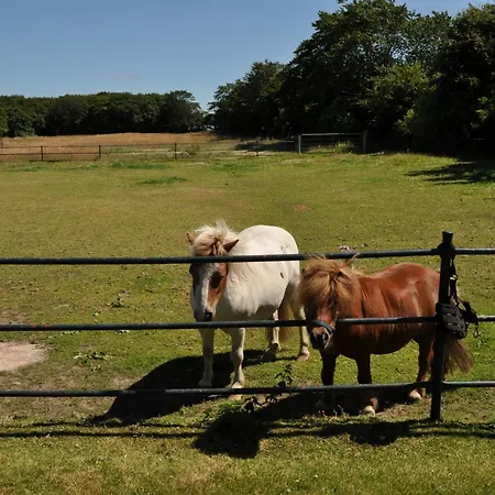 Haus Dorfschmiede, Anker Apartament